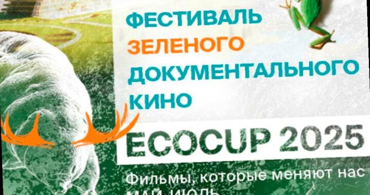 В Сочи стартовал международный фестиваль документального кино ECOCUP’25