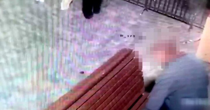 Житель Адлера рискует попасть за решётку из-за проступка
