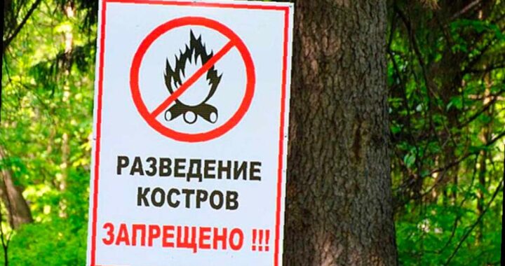 В Сочи объявлена пожароопасность 4 класса