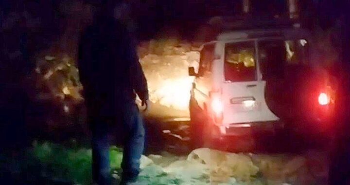 Четыре женщины заблудились в лесу ночью