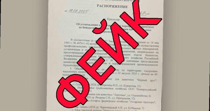 Оперативный штаб Краснодарского края опровергает информацию о карантине по бешенству, которая является фейком. По данным штаба, информация о введении карантина губернатором с 22 августа является подделкой. В настоящее время эпизоотическая ситуация в регионе стабильна и находится под контролем департамента ветеринарии. Подобные ложные новости появляются в сети регулярно, например, в июле ходила информация о выплатах от Минсельхоза за отказ от контракта с Минобороны.