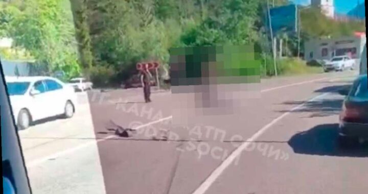 Мотоциклист погиб в аварии на трассе к Красной Поляне