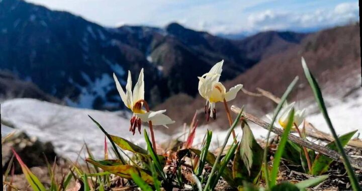 В Сочи откроется фотовыставка победителей конкурса «Четыре сезона красоты»
