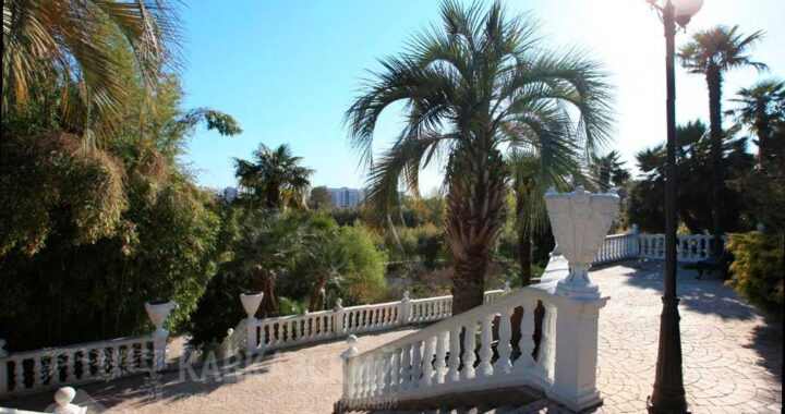 Исторический флешмоб в парке «Южные культуры» в честь 115-летия