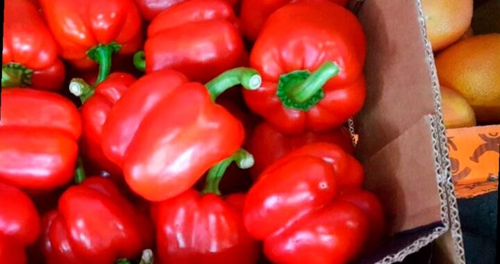 На Кубани найдены зараженные овощи весом более 5 тонн