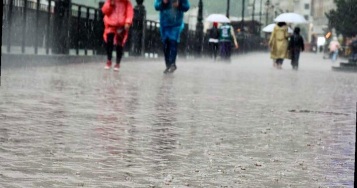 Сильный дождь с грозой ожидается в Сочи в это воскресенье