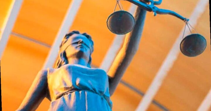 Жительница Сочи оштрафована на 10 миллионов рублей за вырубку растений на своём участке