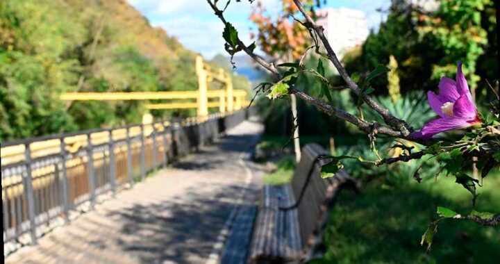 В Лазаревском районе Сочи создадут новую прогулочную зону