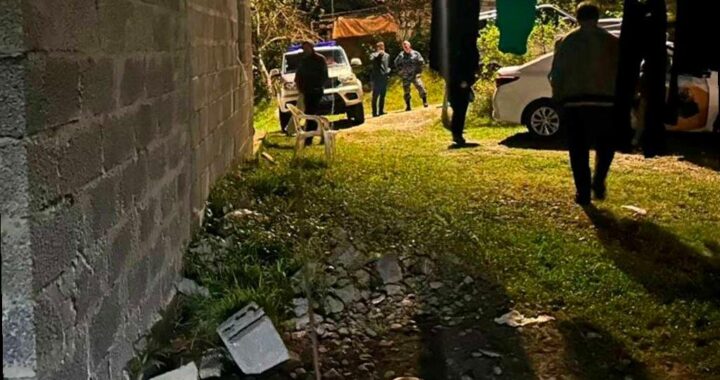 Алабай в Сочи напал на детей, начато уголовное дело