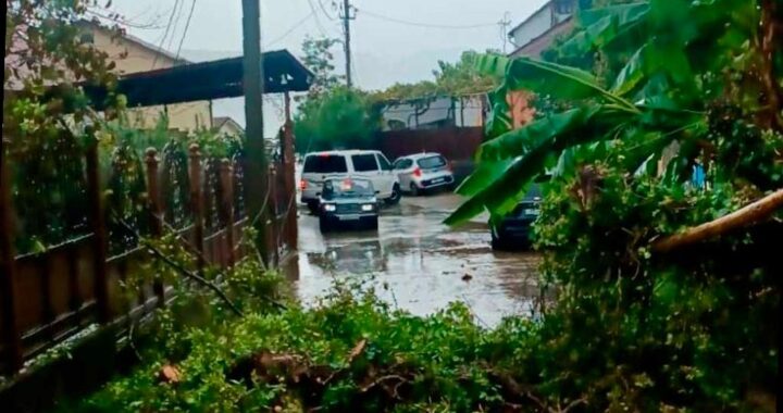 Сочи столкнулся с последствиями непогоды