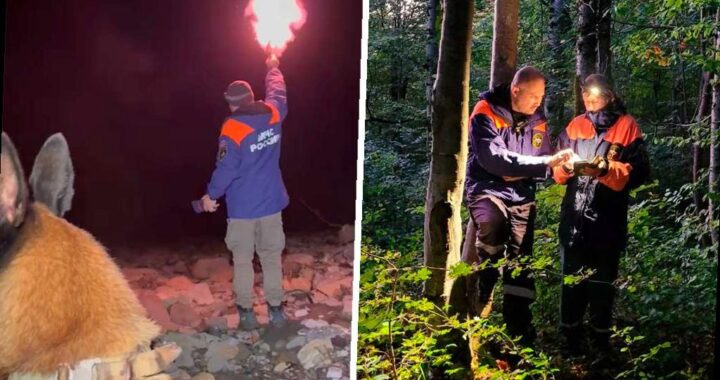 Пенсионерка провела ночь в лесу в Сочи