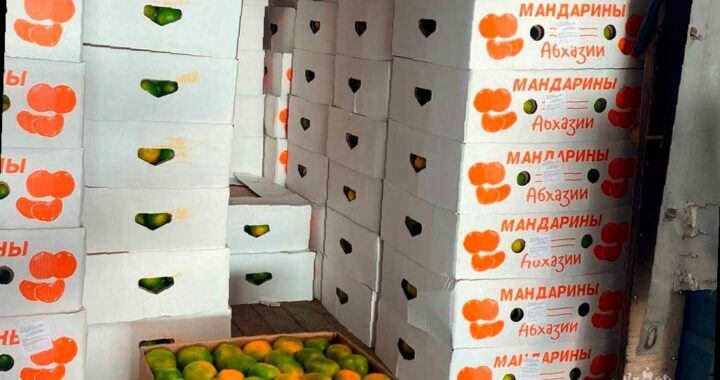 На российско-абхазской границе начался новый сезон поставок мандаринов