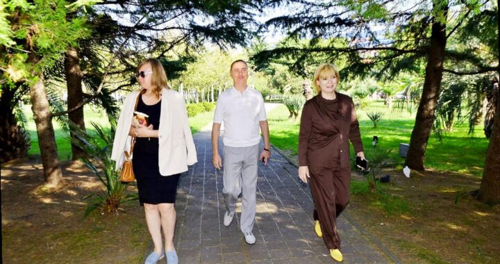 «Виктор Тепляков осматривает сквер Кооперативный»