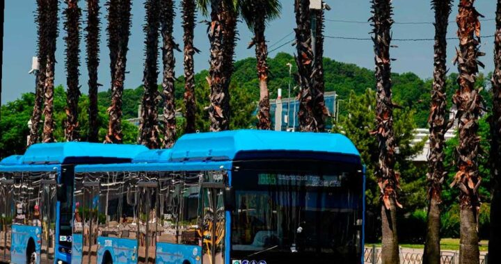 В Сириусе добавят вечерние автобусы для болельщиков