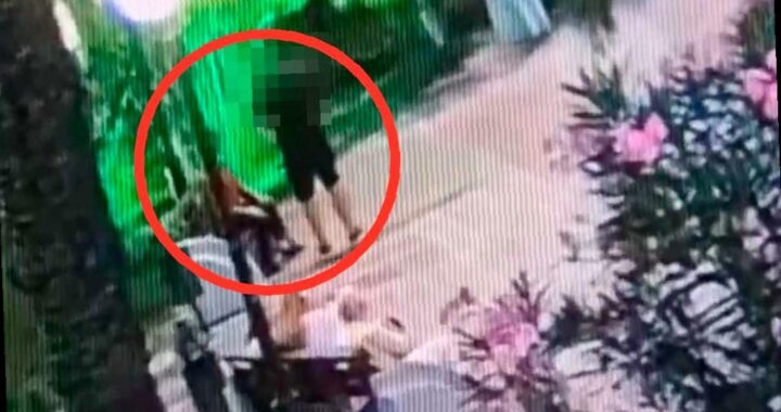 Встреча в парке: москвич совершил грабеж в Сочи