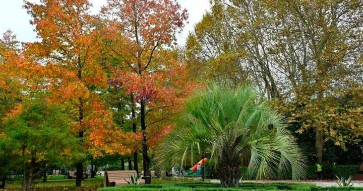 В Хосте открыли обновлённый парк 50 лет Победы к Дню народного единства