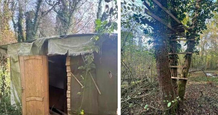 В Сочинском нацпарке обнаружили браконьерское укрытие