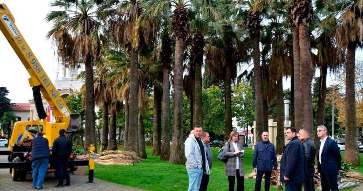 В центре Сочи сквер «Кооперативный» будет обустроен