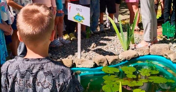 Три школы в Сочи получат финансовую поддержку для реализации экопроектов