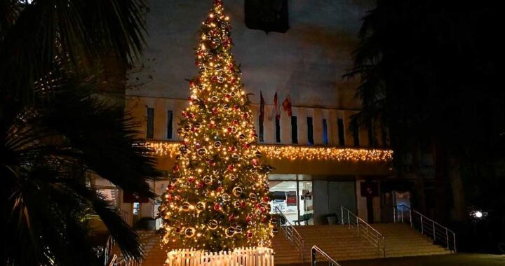 В Сочи установлено около 90 праздничных световых арт-объектов