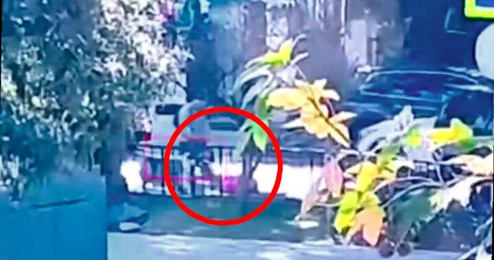 Штраф за находку: житель Сочи потерял чемодан с деньгами