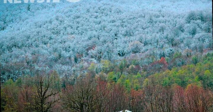 Сильные снегопады ожидаются в горах Сочи