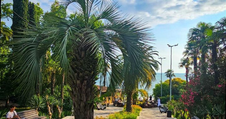 Туристический поток в Сочи достигает рекордных показателей к 2025 году