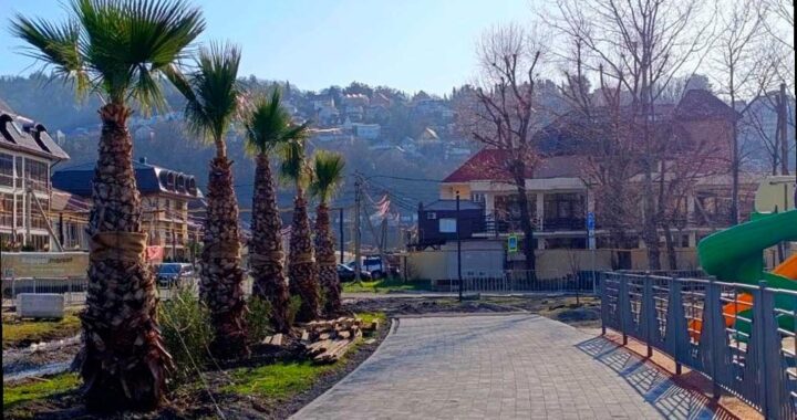 В Сочи сквер Тормахова станет еще красивее к весне