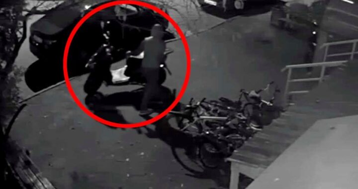 В Адлере на Новый год задержали похитителя мопеда