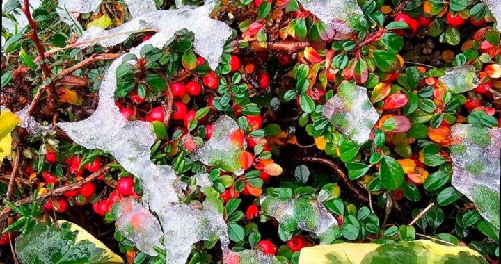 В Сочи продолжается непогода: шторм и заморозки