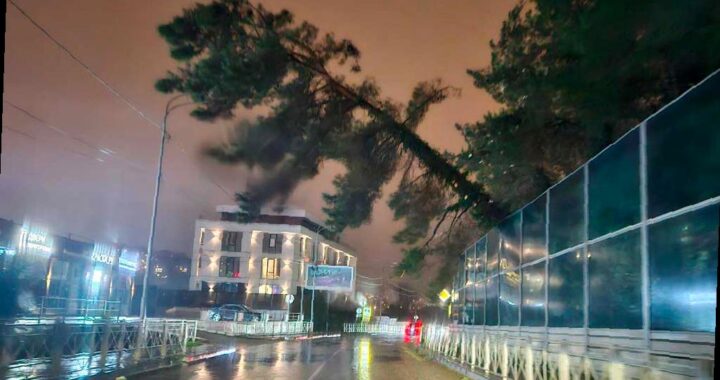 Справляемся с непогодой: убираем поваленные деревья и восстанавливаем провода