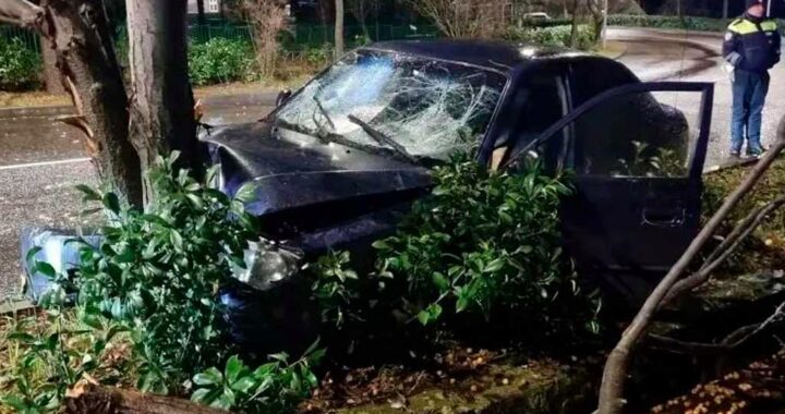 В Сочи подросток на машине протаранил дерево