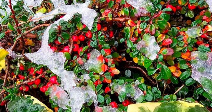 В предгорьях Сочи ожидается сильный снег 16 января