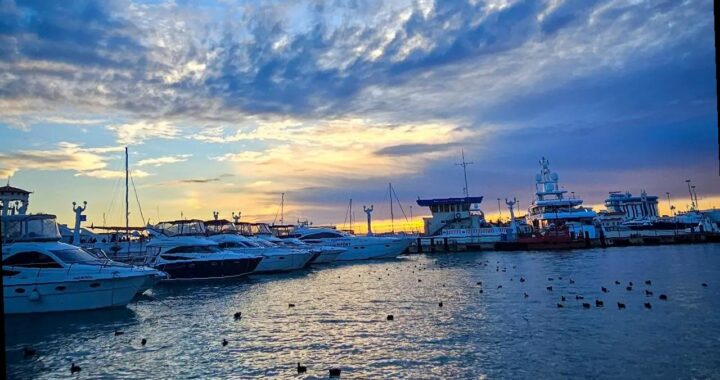 Отдых в Сочи в марте: цветущая весна и уютные спа