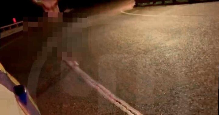 Голый человек пугал водителей на трассе в Сочи