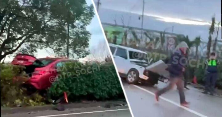 В Адлере легковушка улетела в кусты после столкновения