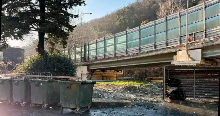 Прокуратура Центрального района Сочи следит за вывозом мусора