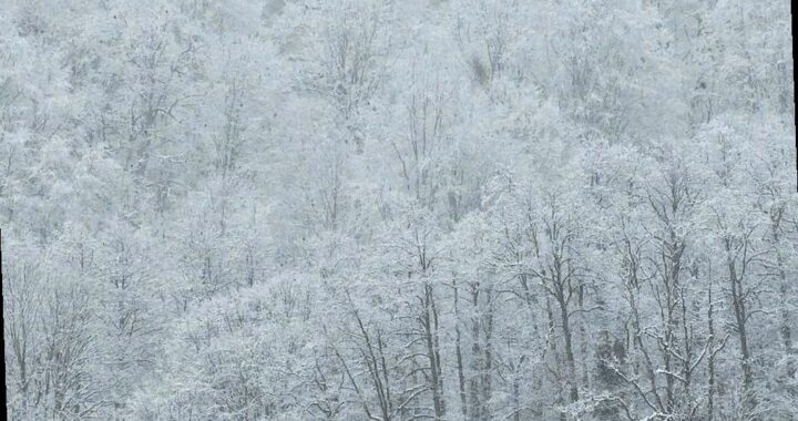 В горах Сочи ожидается сильный снегопад