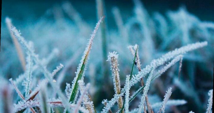 Шторм, снег и гололед: погода в Сочи на 26 февраля