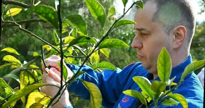 Космонавт Олег Платонов прошёл реабилитацию в Сочи и оставил «след» на