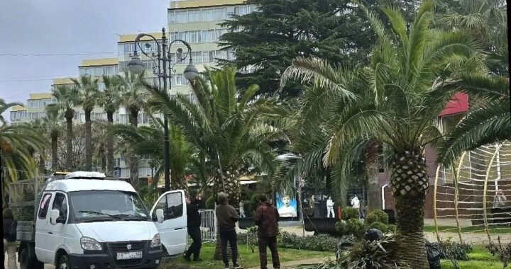 В Сочи начали подготовку пальм к курортному сезону