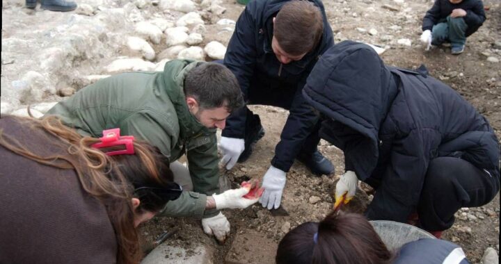 Ажиотаж на раскопках в Абхазии: на набережной находят монеты Римской и