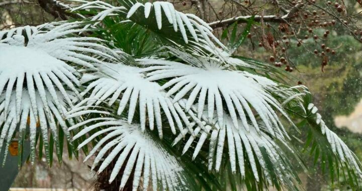 В предгорьях и горах Сочи прогнозируют снег и гололед